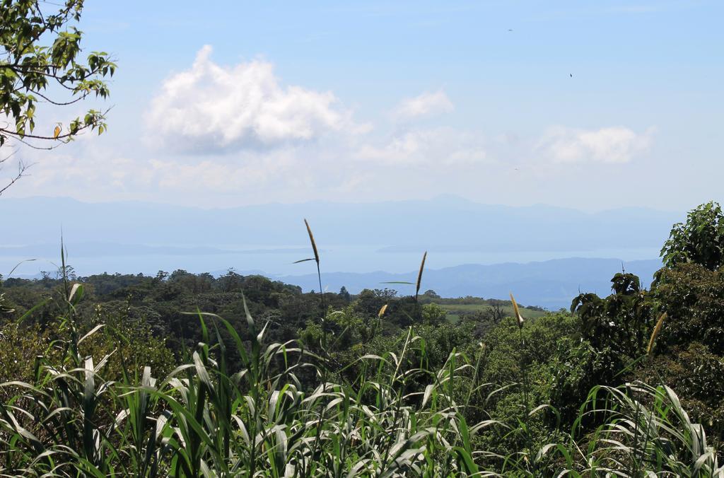 Casa Canitas Monteverde Esterno foto